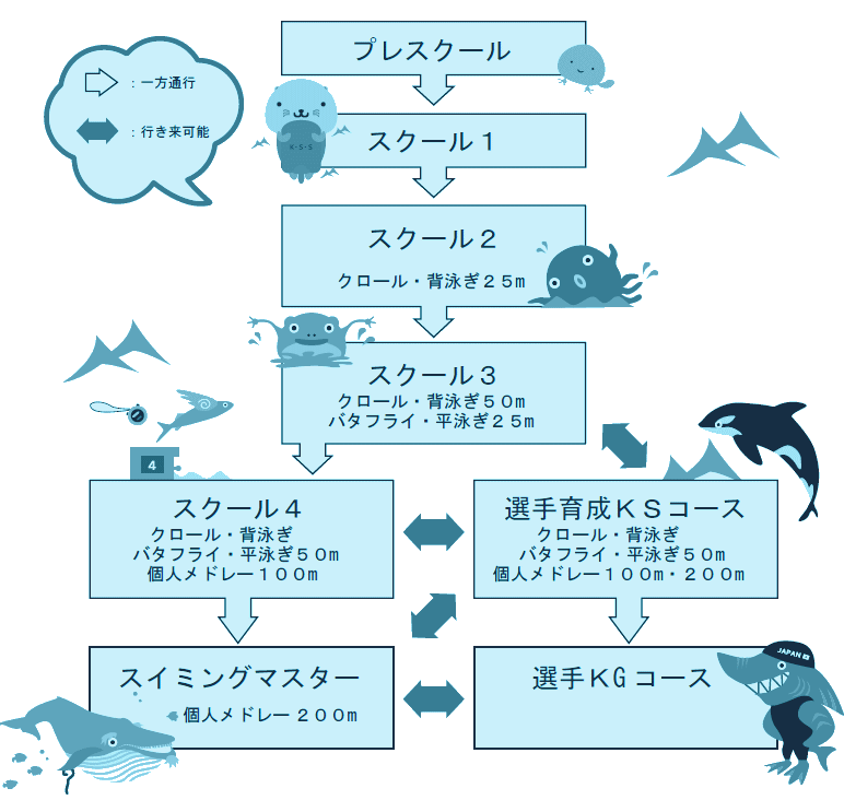 より楽しく上達するように考えられた菊水SS独自のカリキュラム